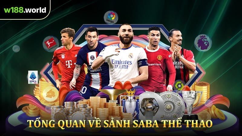 Tổng Quan Về Sảnh Saba Thể Thao